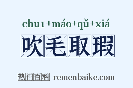 吹毛取瑕是什么意思的图片
